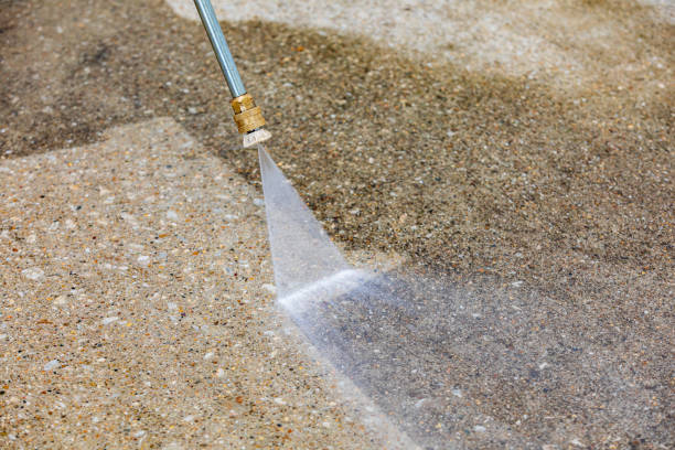 Best Pre-Holiday Cleaning  in Cameron, TX